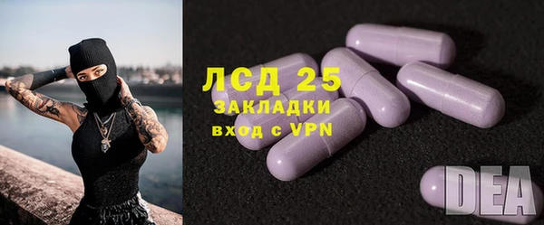 сатива Чегем