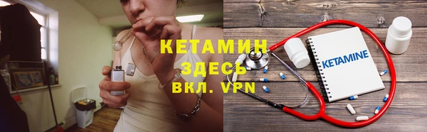 сатива Чегем