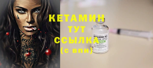 сатива Чегем