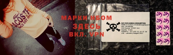 сатива Чегем
